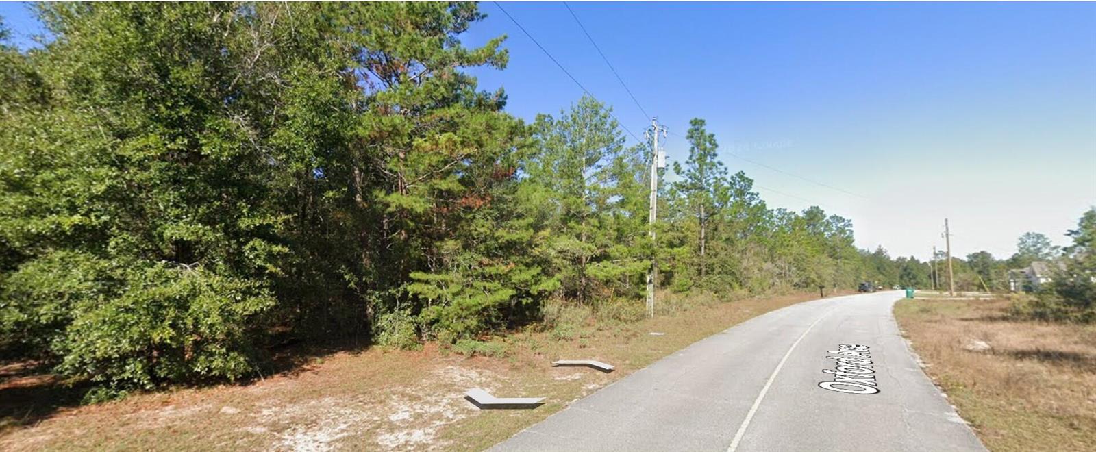 A paved road curves past a wooded lot with a utility pole on a sunny day — Tbd Oxford Avenue, FL 32428, FL