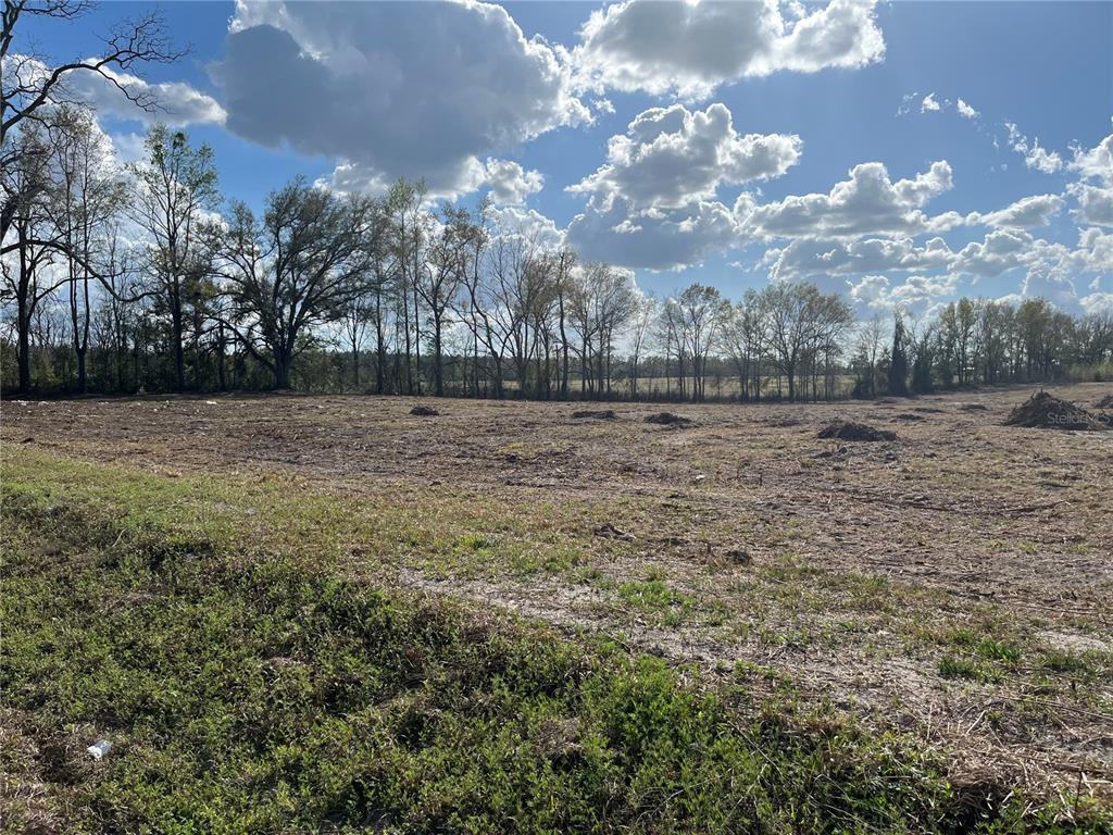 TBD 185TH RD, LIVE OAK, FL — photo 3 of 16