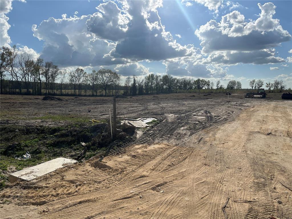 TBD 185TH RD, LIVE OAK, FL — photo 5 of 16