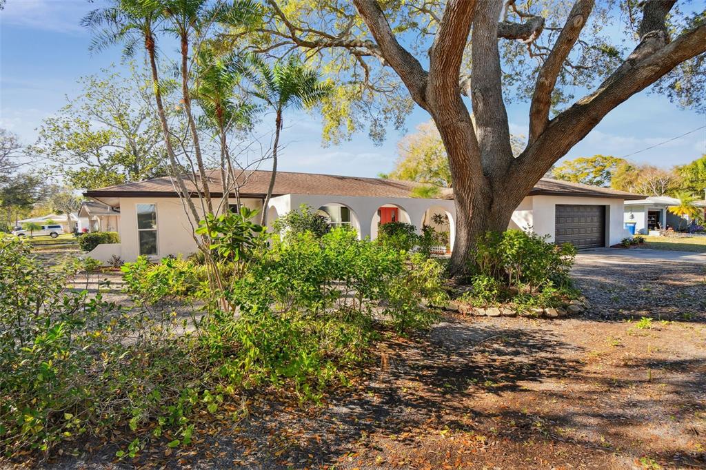 A single-story house with a white exterior, arched entryway, and a large tree in front — 570 CASLER AVENUE, CLEARWATER, FL
