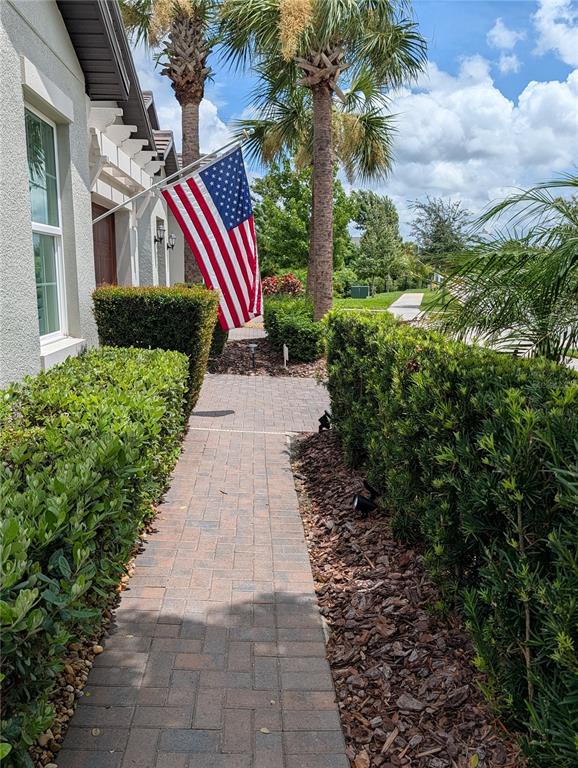 A brick walkway leads toward a house entrance with an American flag and palm trees — 16711 SHELL BAY DRIVE, LAND O LAKES, FL