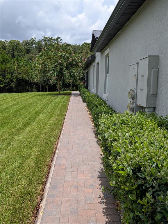 A paved walkway runs alongside a house exterior with a green lawn and landscaping — 16711 SHELL BAY DRIVE, LAND O LAKES, FL
