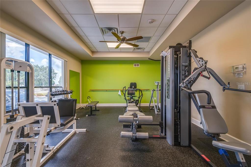 A gym room features exercise equipment, a bright green accent wall, and a ceiling fan — 5920 CORMORANT COURT, LAKELAND, FL