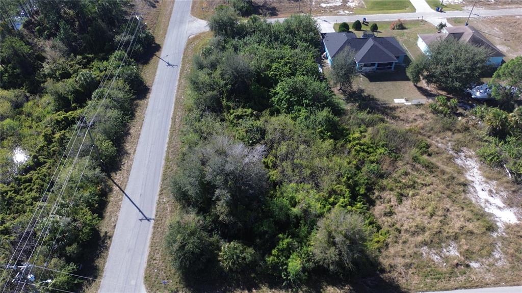 An aerial view shows a wooded, undeveloped residential lot next to a paved road — 880 GULF LANE, LEHIGH ACRES, FL
