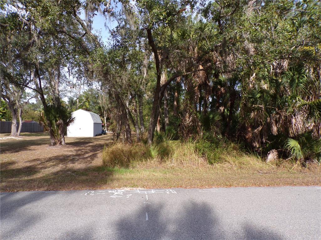 A vacant, wooded lot with a small white shed sits next to a paved road — EVANGELINA LANE, NORTH PORT, FL