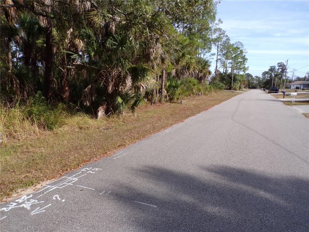 A paved road runs alongside a wooded lot with white utility markings painted on the asphalt — EVANGELINA LANE, NORTH PORT, FL