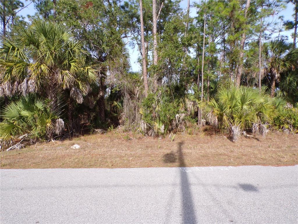 A vacant, wooded lot is viewed from the edge of an asphalt road — EVANGELINA LANE, NORTH PORT, FL