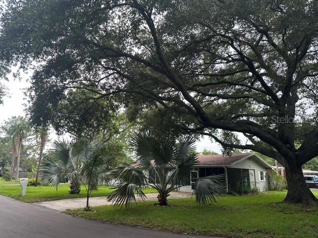 A single-story house with a screened porch is shaded by a large, mature oak tree — 2030 HEALY DRIVE, CLEARWATER, FL
