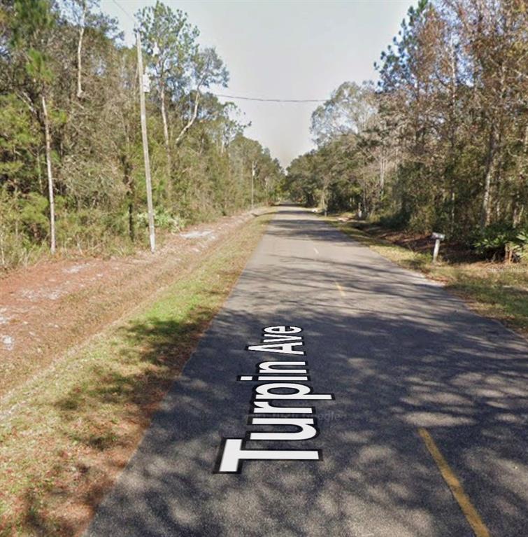 A paved road runs through a wooded area with trees lining both sides — 10055 TURPIN AVENUE, HASTINGS, FL
