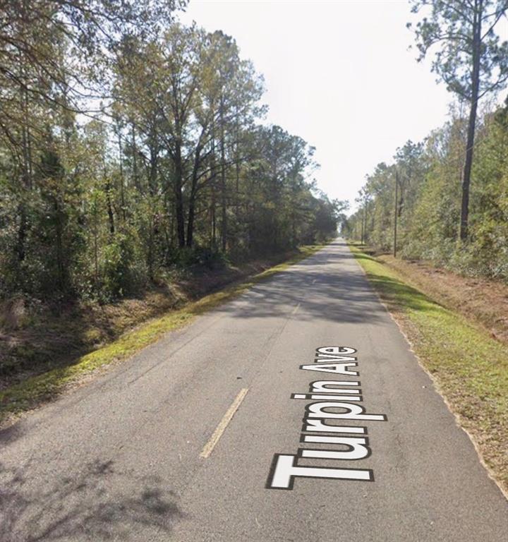 A paved road stretches through a wooded area with trees lining both sides — 10055 TURPIN AVENUE, HASTINGS, FL