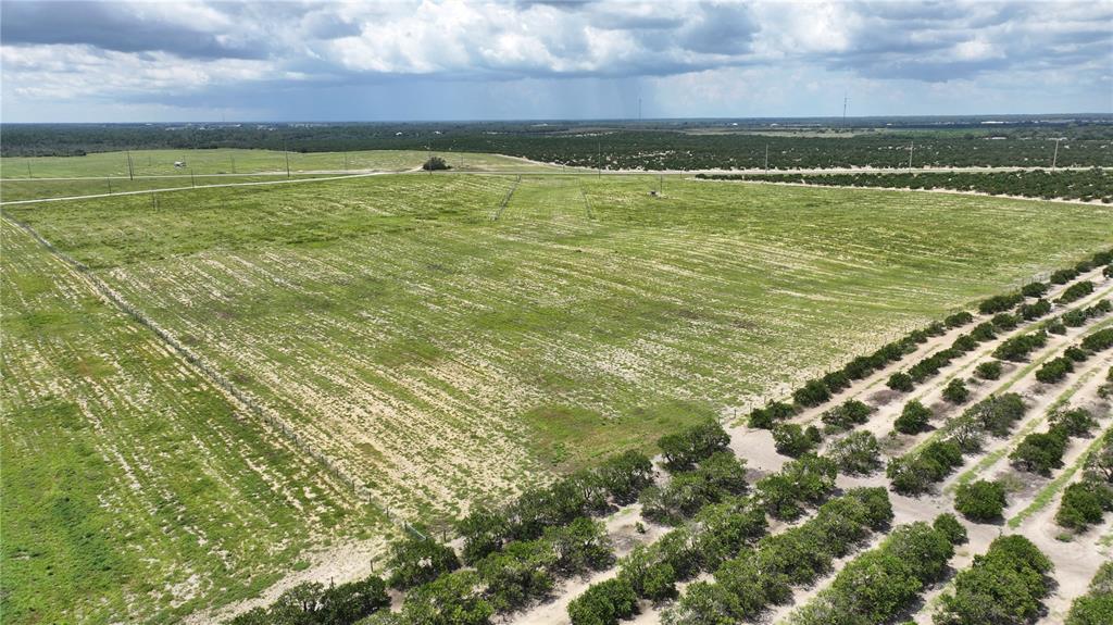An aerial view shows a large, open grassy field adjacent to rows of citrus trees — KENILWORTH BOULEVARD, SEBRING, FL