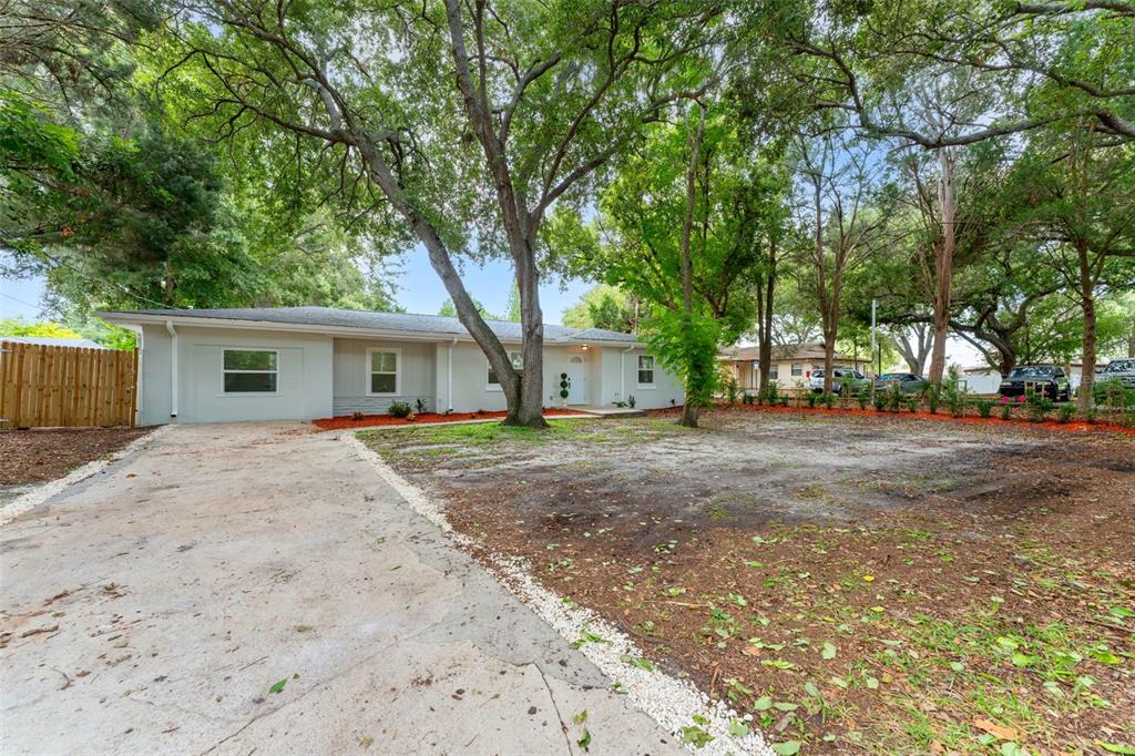 A white, single-story house with a concrete walkway and red mulch landscaping under large trees — 264 14TH STREET NW, LARGO, FL