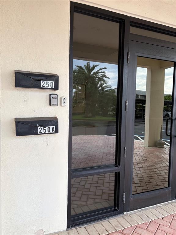 A glass door entrance features two black mailboxes labeled 250 and 250A on the wall — 250 WOODETTE DRIVE UNIT A, DUNEDIN, FL
