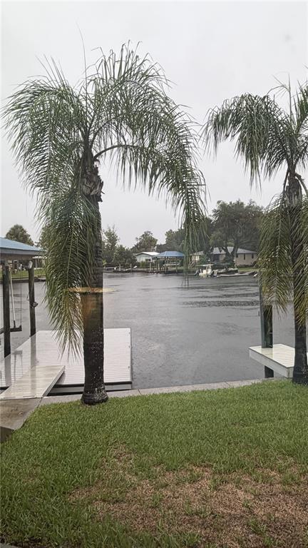 Two palm trees stand on a grassy lawn overlooking a canal with boat docks — 1520 SE PINWHEEL DRIVE, CRYSTAL RIVER, FL