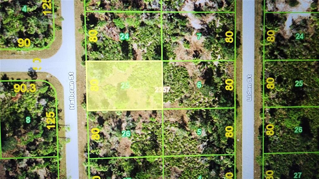 This is a map showing a highlighted rectangular land parcel between two streets — 318 HALLORAN STREET, PORT CHARLOTTE, FL