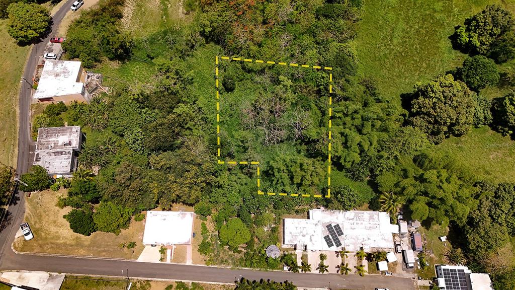 An aerial view shows a rectangular plot of land outlined in yellow amidst dense vegetation — CARR 115 KM HM 11.3, RINCON, PR
