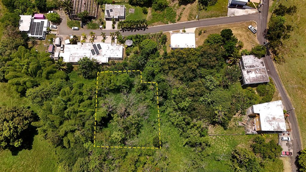 An aerial view shows a rectangular plot of land outlined in yellow amidst lush vegetation — CARR 115 KM HM 11.3, RINCON, PR
