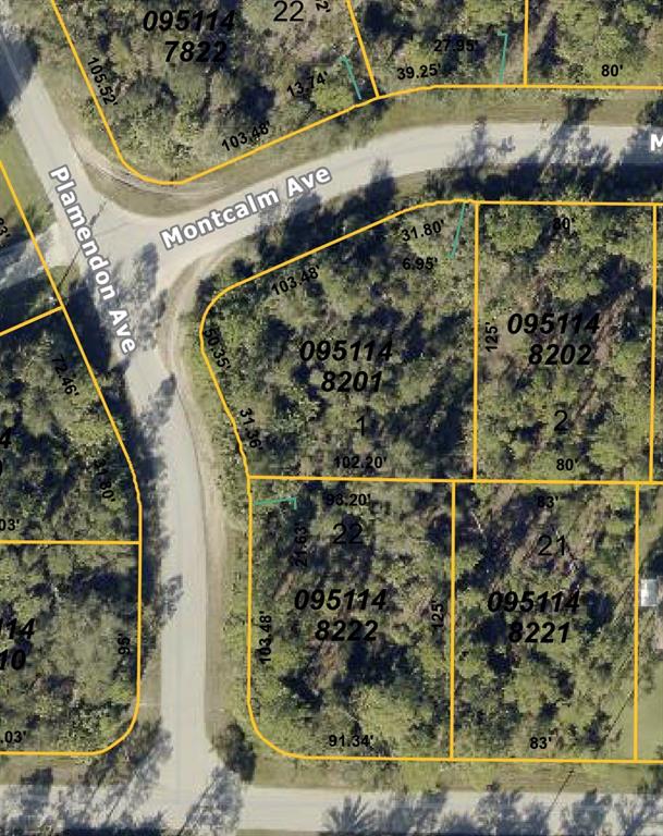 This is a satellite map showing property lot lines and dimensions for several residential parcels — MONTCALM AVENUE, NORTH PORT, FL