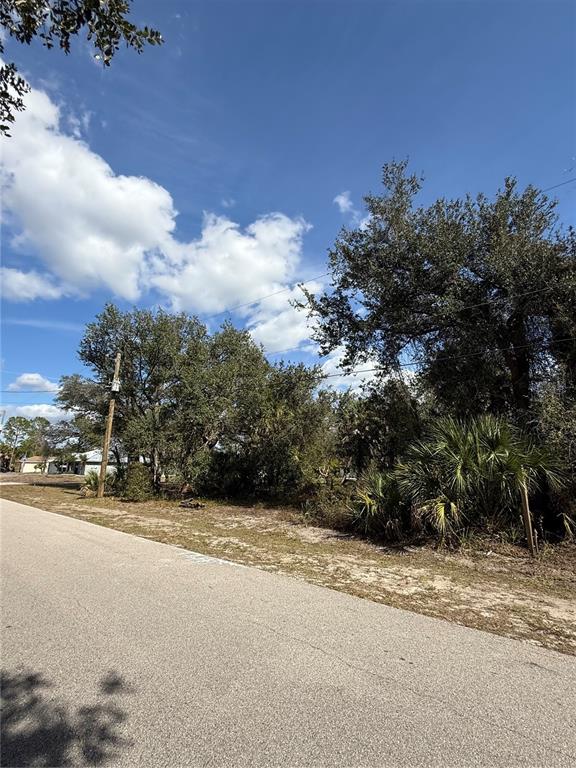 A paved road runs alongside a vacant, wooded lot under a blue sky — MAURBACH TERRACE, NORTH PORT, FL