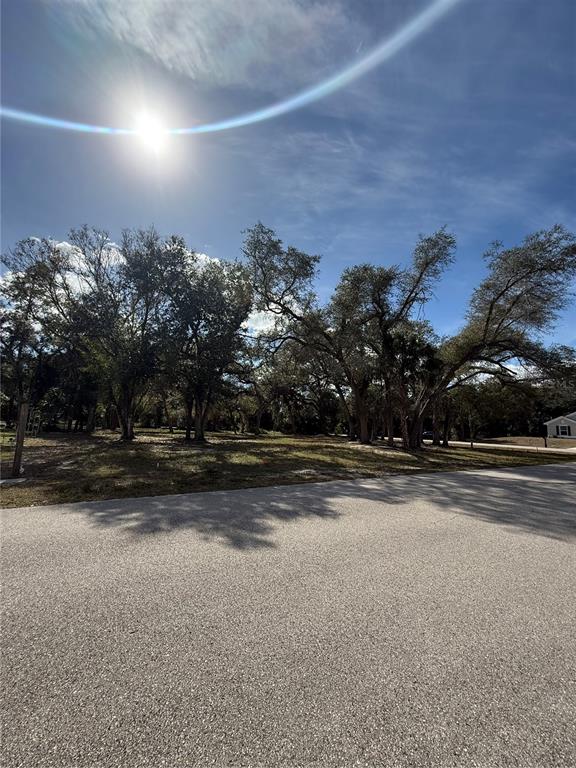 A vacant, tree-covered lot sits adjacent to a paved residential street under a sunny sky — MAURBACH TERRACE, NORTH PORT, FL
