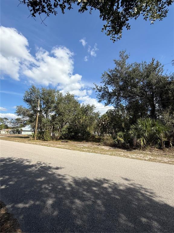 A paved road runs alongside a vacant, wooded lot under a blue sky — MAURBACH TERRACE, NORTH PORT, FL