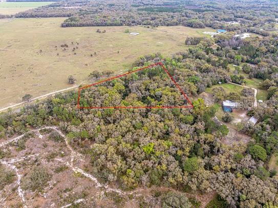 An aerial view shows a wooded lot outlined in red next to an open pasture — Unassigned STATE ROAD 24, ARCHER, FL