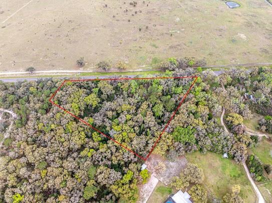 An aerial view shows a wooded lot outlined in red next to a paved road — Unassigned STATE ROAD 24, ARCHER, FL