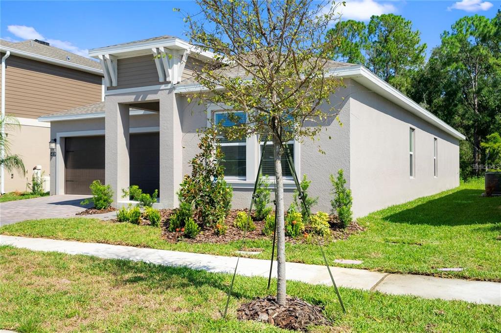 A single-story house with a beige stucco exterior, a garage, and a young tree out front — 4819 WORCHESTER DRIVE, KISSIMMEE, FL