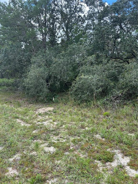 00 SW 27TH CIRCLE, OCALA, FL — photo 3 of 4