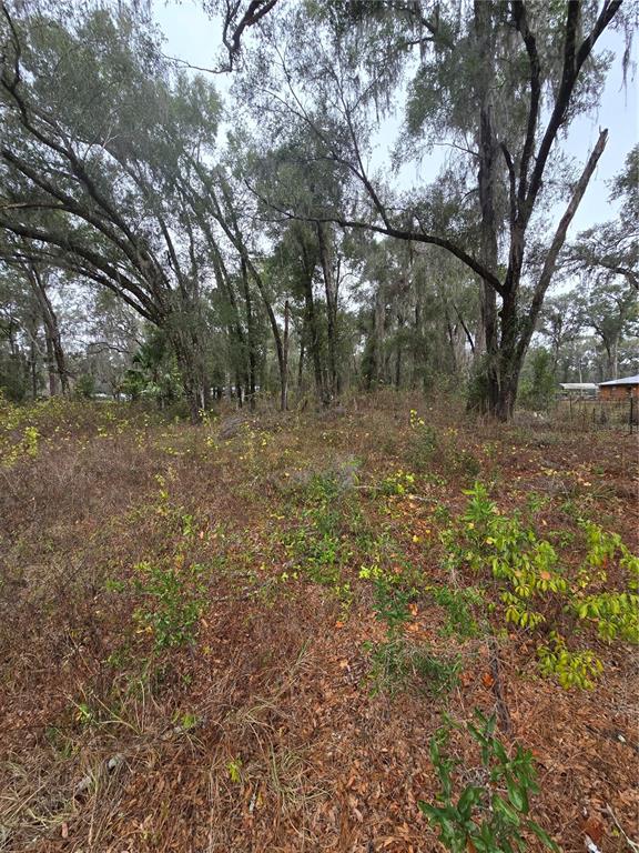 00 W C 476, BUSHNELL, FL — photo 2 of 2