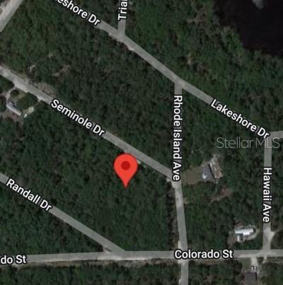 This is a map showing a vacant, wooded lot marked with a red pin — 117 SEMINOLE DRIVE, SATSUMA, FL