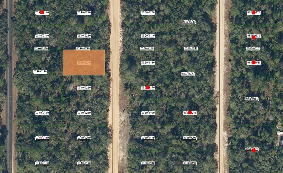 This is a satellite map showing a highlighted rectangular land parcel among wooded lots — 0 David Avenue, FL 32148, FL