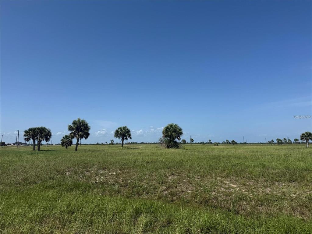 55 BEGONIA DRIVE, PLACIDA, FL — photo 3 of 3