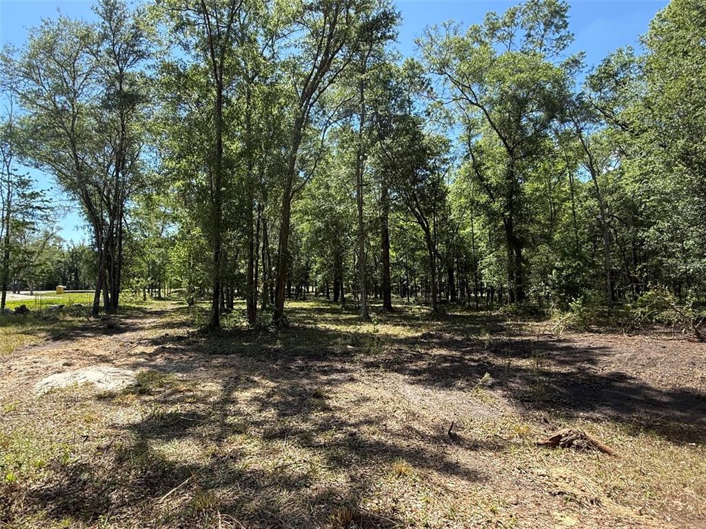 A wooded lot with cleared ground and tall trees under a clear blue sky — 0 NW 145 AVENUE, WILLISTON, FL