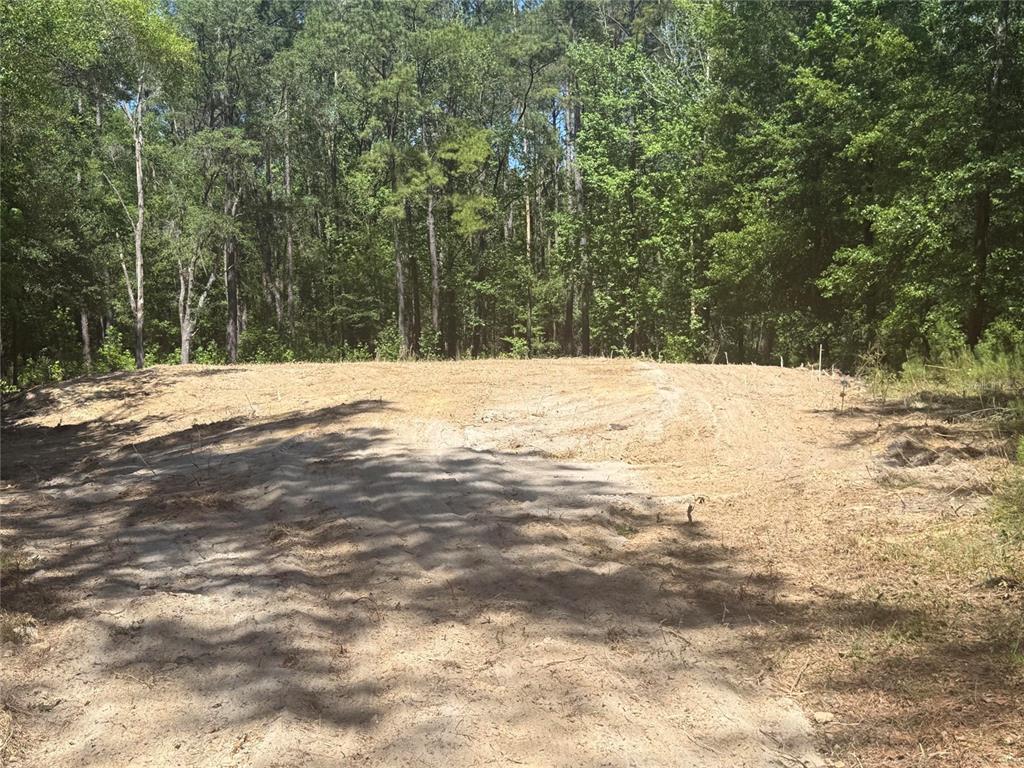 A cleared, level dirt lot is surrounded by a dense forest of tall trees — 0 NW 145 AVENUE, WILLISTON, FL