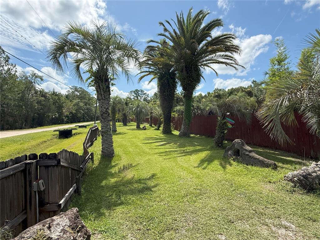 A grassy yard features several palm trees and a wooden fence under a blue sky — 3841 ARBOR AVENUE, BUNNELL, FL