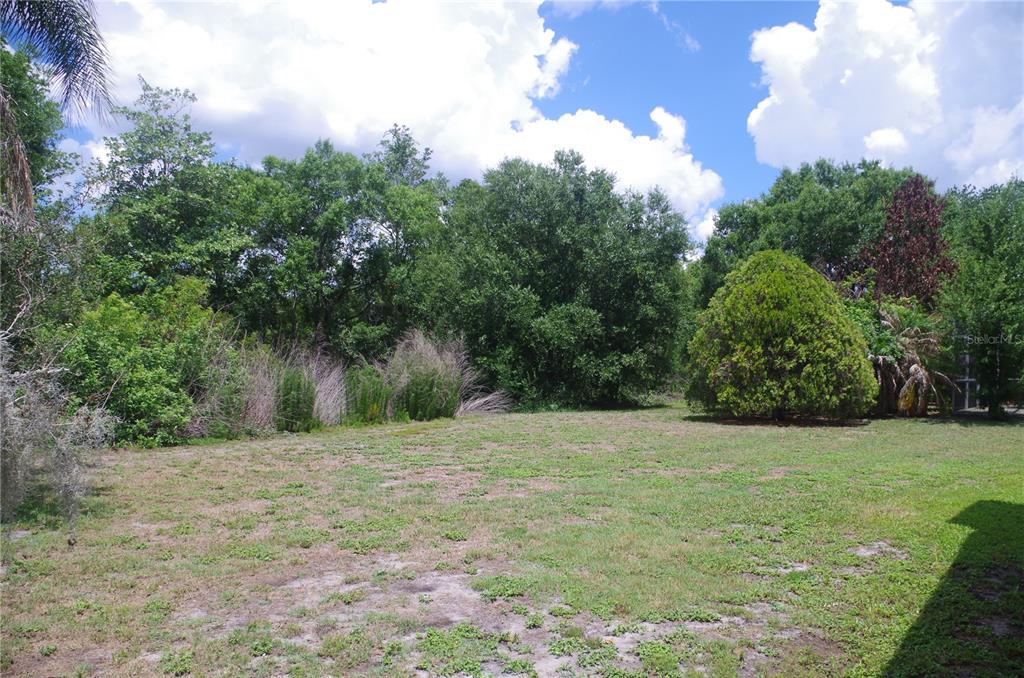 A grassy backyard area is bordered by a dense line of mature trees and shrubs — 4207 ELBA PLACE, VALRICO, FL