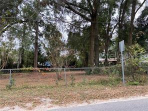A chain-link fence borders a grassy, tree-filled vacant lot next to a paved road — Lot 14 NW 15TH AVENUE, OCALA, FL