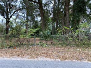 A chain-link fence separates a paved road from a wooded, overgrown residential lot — Lot 14 NW 15TH AVENUE, OCALA, FL