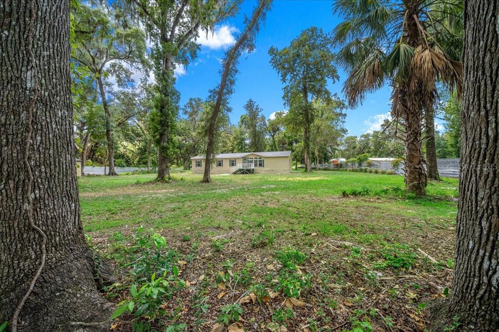 A single-story house sits in the center of a large, grassy, tree-filled lot — 4886 E HIGHWAY 316, CITRA, FL