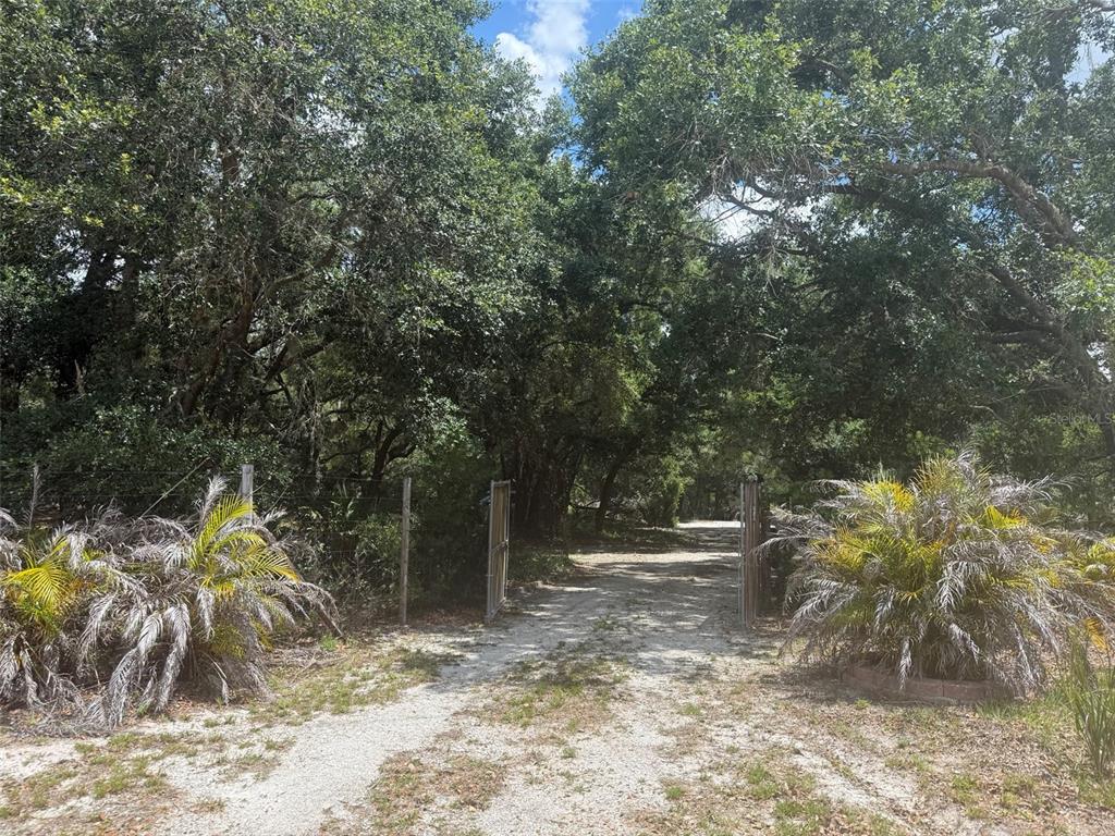 A dirt driveway leads through an open gate into a wooded area with large trees — 18561 NW 306TH STREET, OKEECHOBEE, FL
