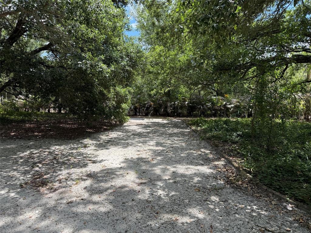 A gravel driveway leads through a wooded area with dense trees and foliage — 18561 NW 306TH STREET, OKEECHOBEE, FL