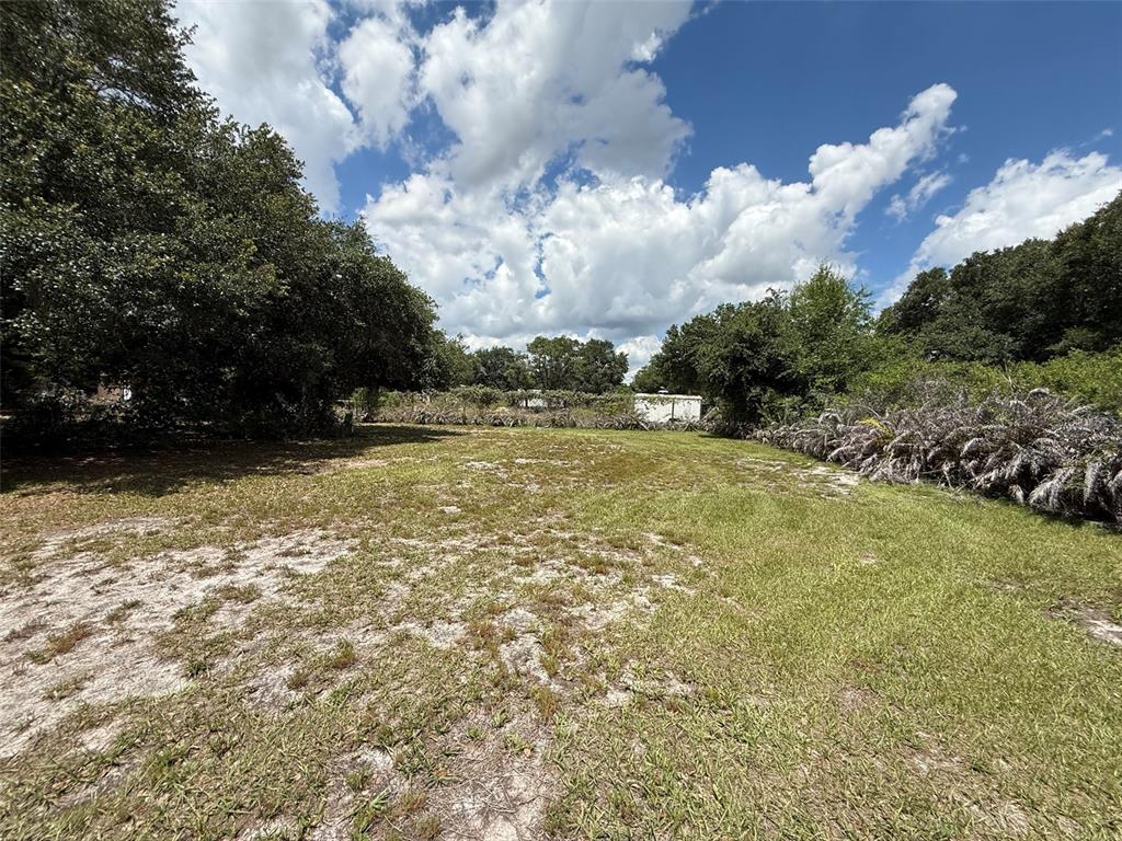 A grassy, open lot is surrounded by trees and dense vegetation under a cloudy sky — 18561 NW 306TH STREET, OKEECHOBEE, FL
