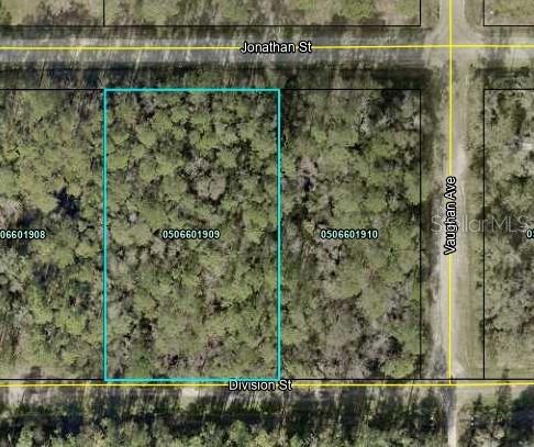 This is an aerial map showing a rectangular parcel of land outlined in blue — 5009 JONATHAN STREET, HASTINGS, FL