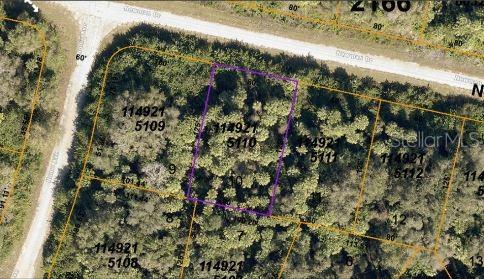 An aerial map view shows a rectangular plot of land outlined in purple — NEWMAN DRIVE, NORTH PORT, FL