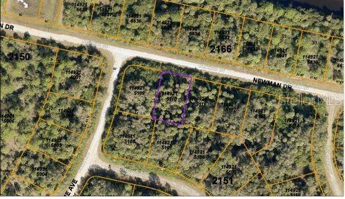 This is an aerial map view of a wooded residential lot outlined in purple — NEWMAN DRIVE, NORTH PORT, FL