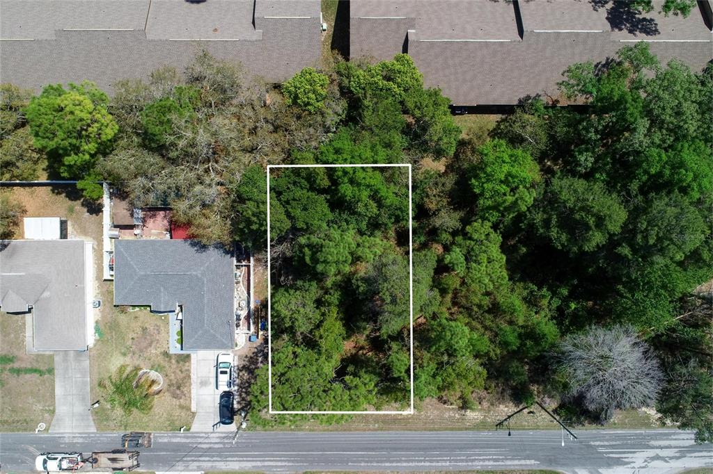 TOMAHAWK AVENUE, SPRING HILL, FL — photo 2 of 20