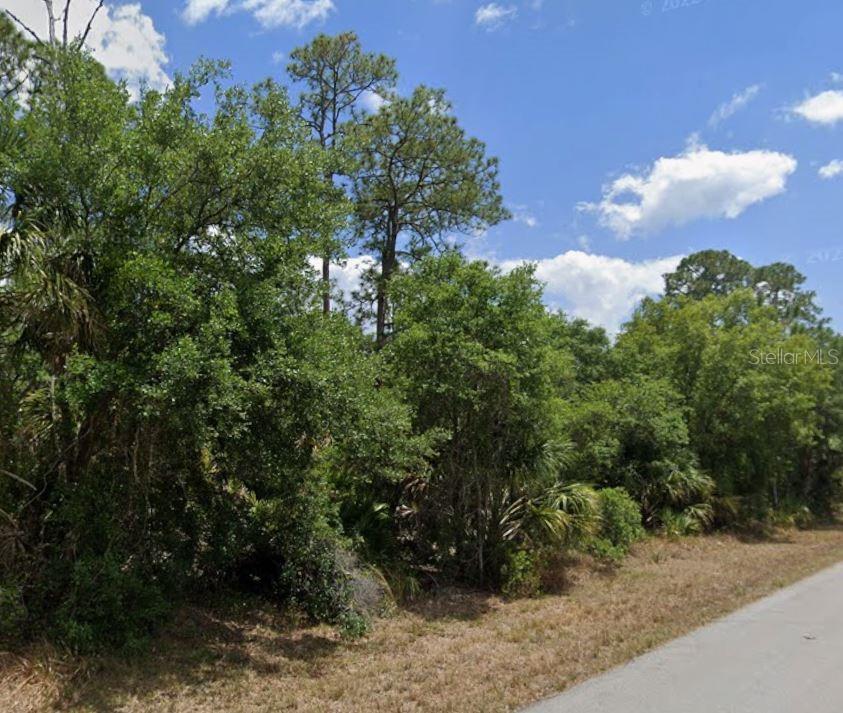 A view of a wooded, undeveloped lot with dense trees and vegetation along a road — 4050 BRENDLE STREET, PORT CHARLOTTE, FL