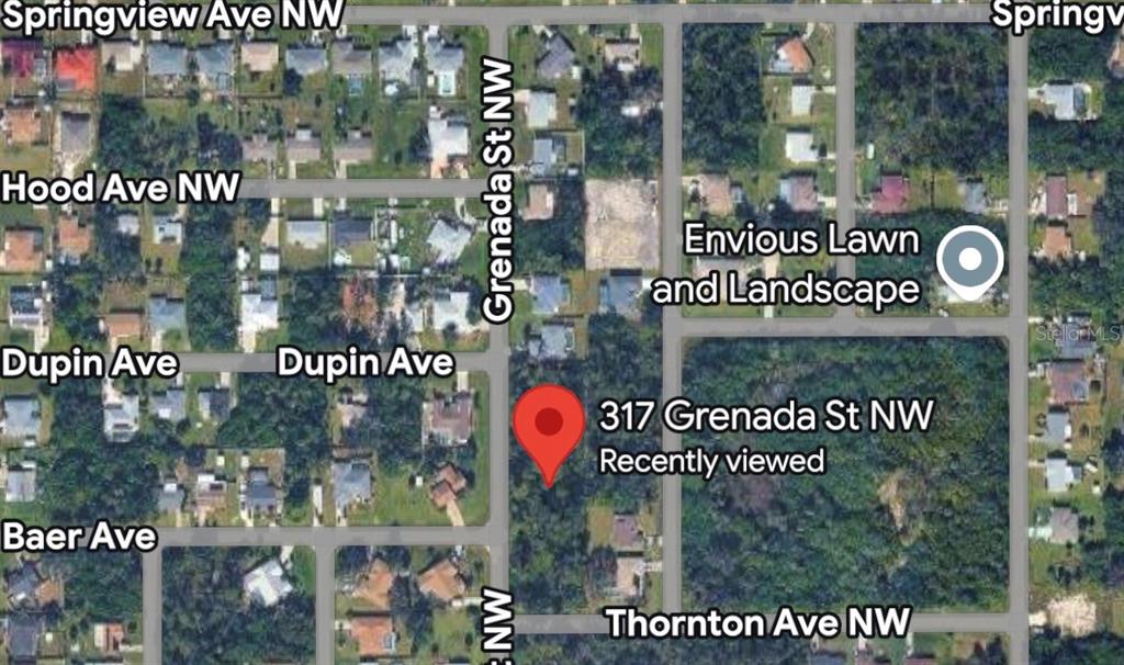 This is a satellite map view showing a vacant, wooded residential lot — 317 GRENADA STREET, PORT CHARLOTTE, FL