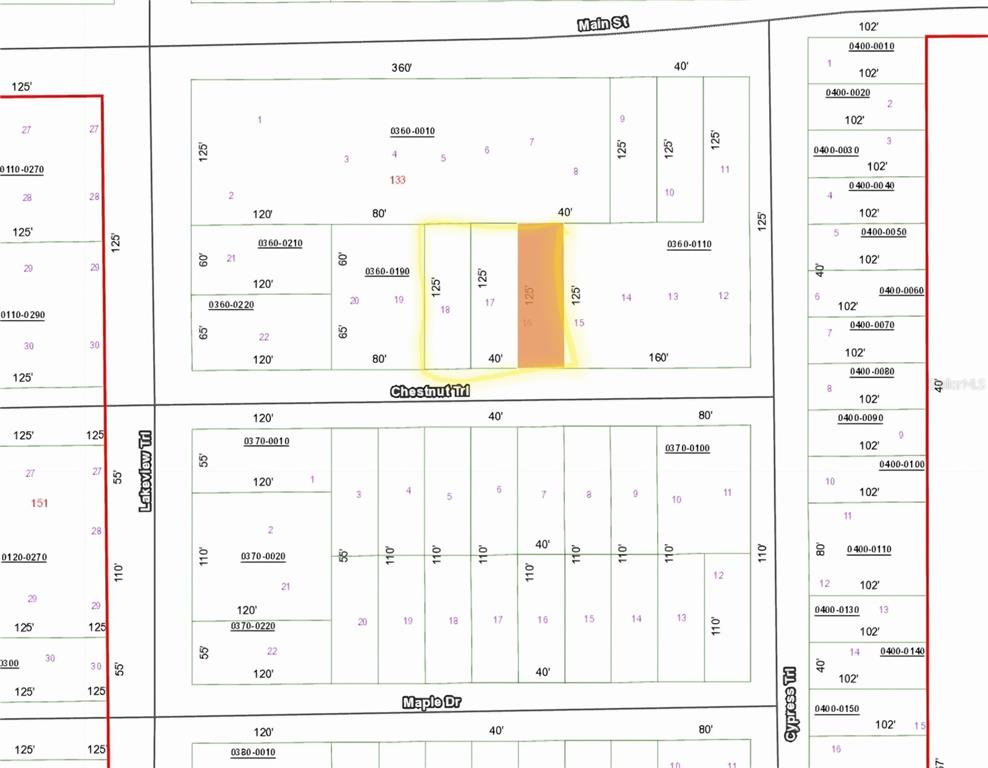 TBD CHESTNUT TRL, INTERLACHEN, FL — photo 2 of 2